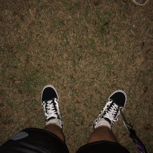 Meet your Posher, Jessie